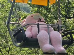 -富斯特索道