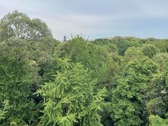 -成都杜甫草堂博物馆