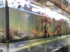 -海之鲜大排档(东山海鲜金銮湾店)