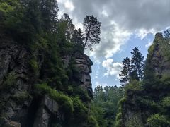 -茅兰沟国家森林公园