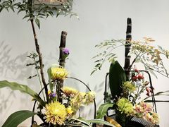 -中山公园