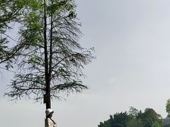 -升仙湖公园