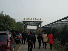 -汤山翠谷生态餐厅