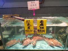 -九號渔港·蒸汽海鲜·粤菜茶点(八卦岭店)