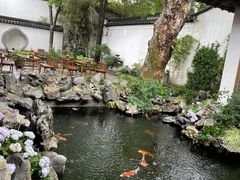 -鲤院·新中式美学·庭院餐厅(夫子庙店)