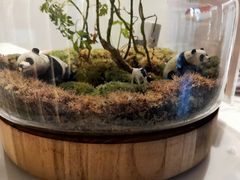 -齐玉齿科JADENTAL