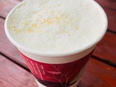 -茶颜悦色(岳麓山顶店)