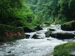 -碧峰峡风景区