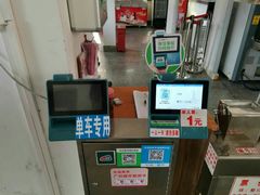 -珠江夜游省总码头