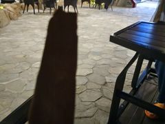 -圣和汤泉•汗蒸温泉自助