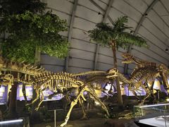 -辽宁古生物博物馆