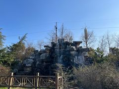 -上海海湾国家森林公园