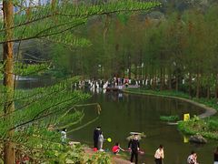 -重庆彩云湖湿地公园