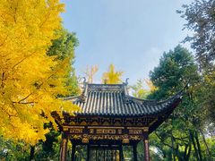 -汇龙潭