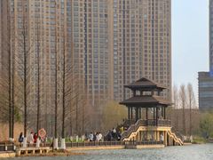 -洋湖国家湿地公园