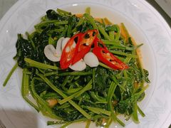 -上海新锦江大酒店