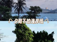 -华侨公园