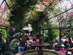 -The Grounds of Alexandria