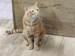 -巧云大馄饨(南阴阳营总店)