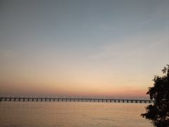 -宝安西湾红树林湿地公园