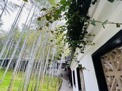 -求雨山文化公园