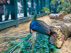 -重庆动物园·东二门售票处