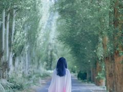 -金塔沙漠胡杨林景区
