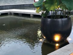 -莲西餐(曲江店)