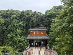 -碧峰峡风景区