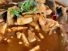垮炖鲟鱼豆腐-京北渔家傲