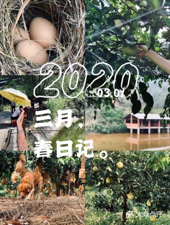 城市逃离日记|藏在攀西山间里的世外桃源