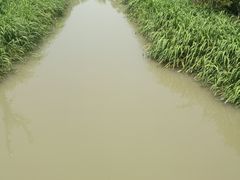 -杭州城北体育公园