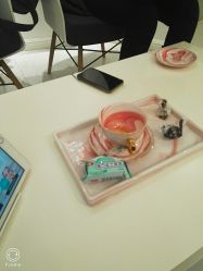 -紫御国际抗衰ZOE ANTI AGING