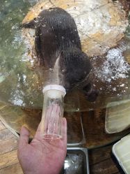 -Zoolung Zoolung动物主题公园(海信广场店)