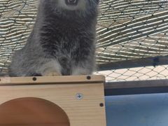 -青藏高原野生动物园