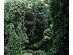 -石门洞景区