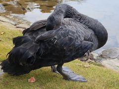 -蝴蝶泉公园