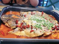 -青青河边草·小小河边鱼(万达广场太仓店)