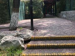 -宣武艺园