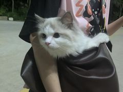 -泉州海丝野生动物世界