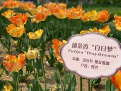 -江南大学(蠡湖校区)