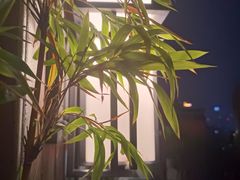 -小茶闲舍·观景商务茶馆(广州塔店)