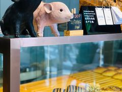 -WHEN PIGS FLY当猪飞