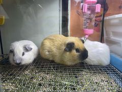 -三旗百汇商品城