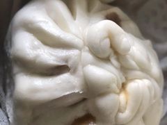 大肉包-白玉兰食品(甜云店)