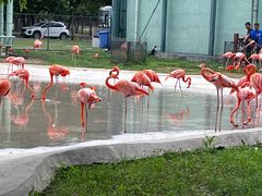 -秦皇岛野生动物园