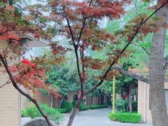 -御座宾馆-餐厅