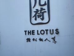 -几荷·恰似故人来(秀水广场店)