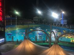 -杭州浪浪浪水公园
