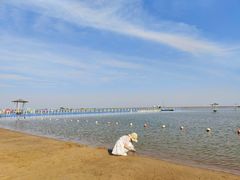-碧海金沙